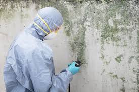 Best Mold Prevention Services  in White Salmon, WA